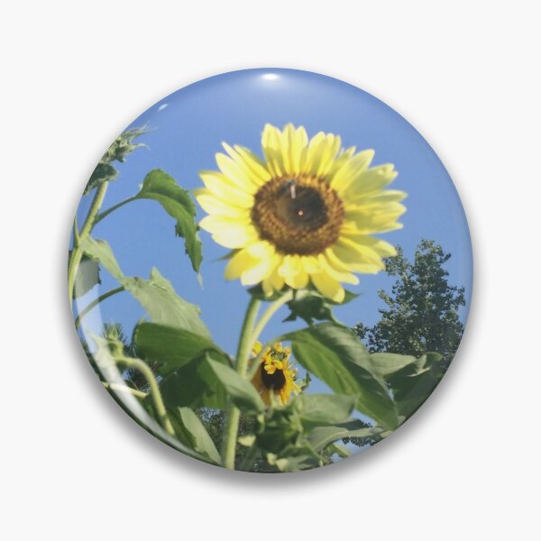 Artikelvorschau, Yellow Sunflower with a Blue Blue Sky Above entworfen und verkauft von Taleta Hollis.