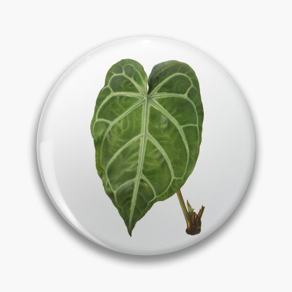 Item preview, anthurium magnificum designed and sold by cottagefrog.