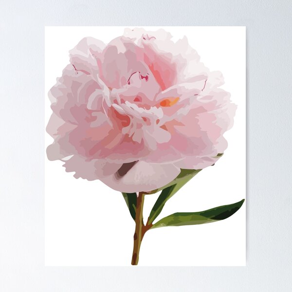 Item preview, Realistic peony illustration pink pattern designed and sold by DunyaK.