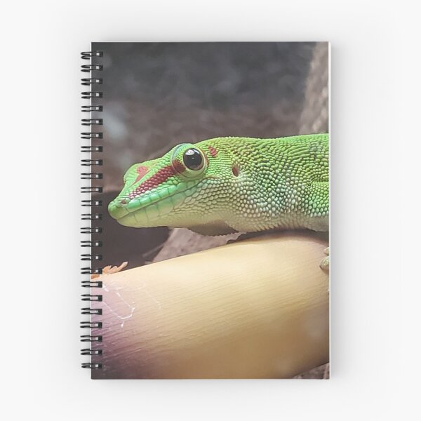 Item preview, Giant Day Gecko  designed and sold by SmoulderDrache.
