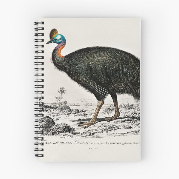 Item preview, Cassowary Bird  designed and sold by ChloeArt1995.