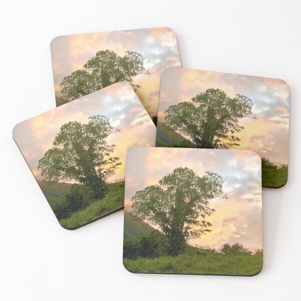 Lone Tree at Dusk Coasters (Set of 4)