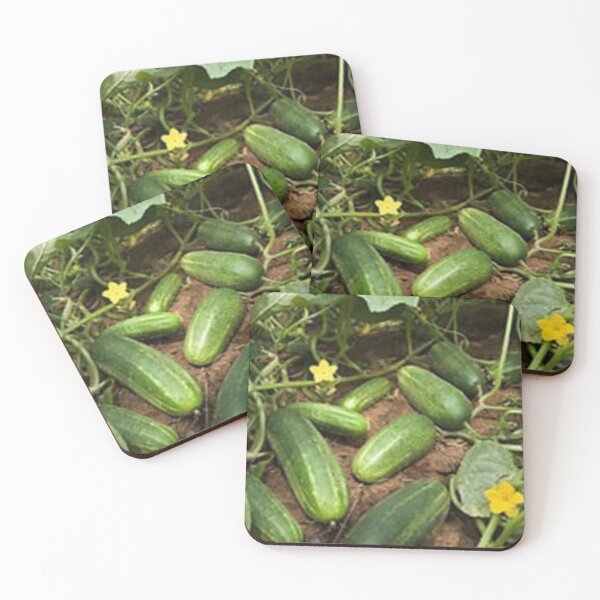 Item preview, Nice cucumber. designed and sold by Lan thi Nguyen.