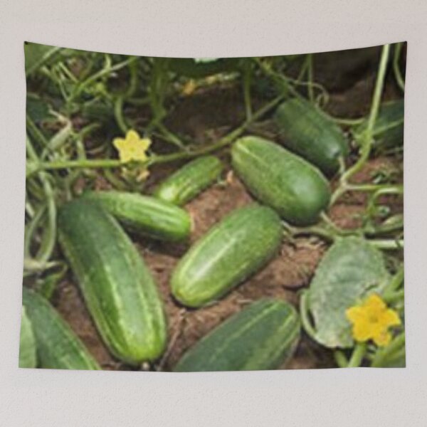 Item preview, Nice cucumber. designed and sold by Lan thi Nguyen.