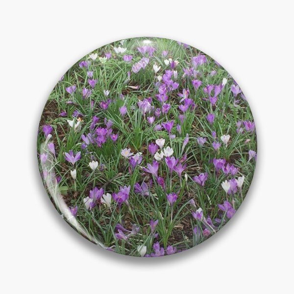 Item preview, The Spring Crocus - Reminding me of Easter  designed and sold by Bucklandcrafts.