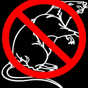 Artwork thumbnail, NO RATS by Redusedone
