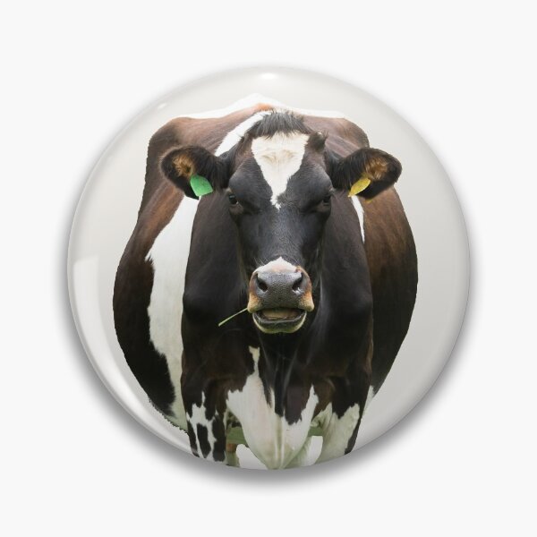 Item preview, Black and White Standing Cow  designed and sold by Jane Stanley Photography.
