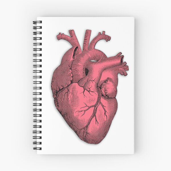 Item preview, Vintage Anatomical Heart Illustration designed and sold by DigitalCrafts.