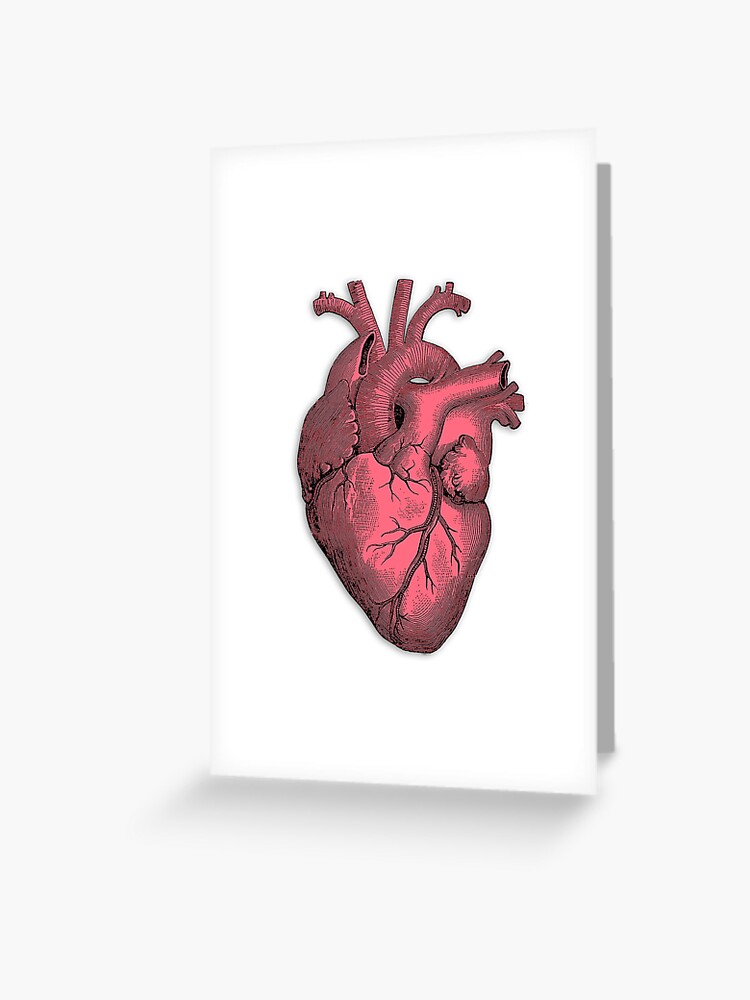 All Heart Cards Stock Illustration 177137141