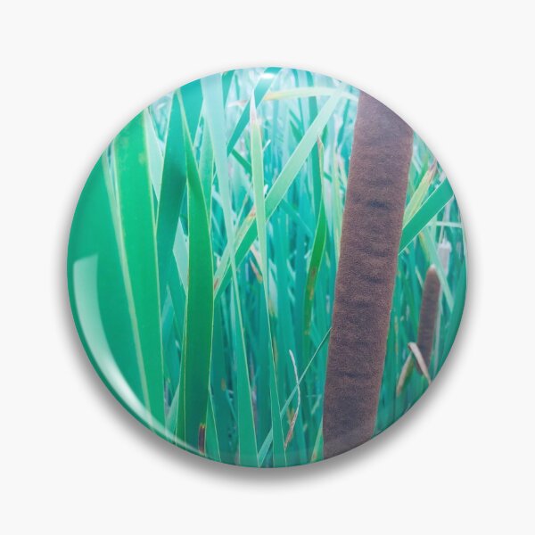 Item preview, Cattails or Bulrush designed and sold by Orchyd.