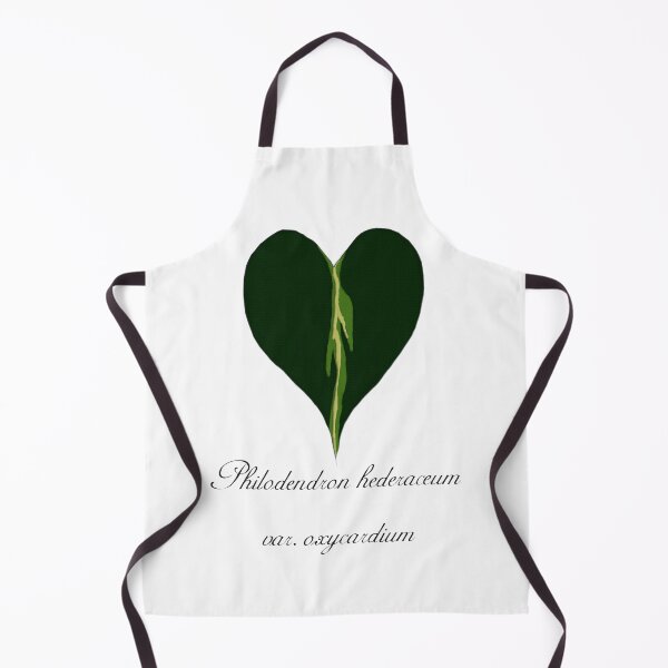 Item preview, Philodendron hederaceum var. oxycardium designed and sold by Alin Richard Iovănuț.