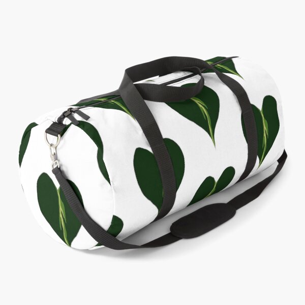 Item preview, Philodendron hederaceum var. oxycardium designed and sold by Alin Richard Iovănuț.