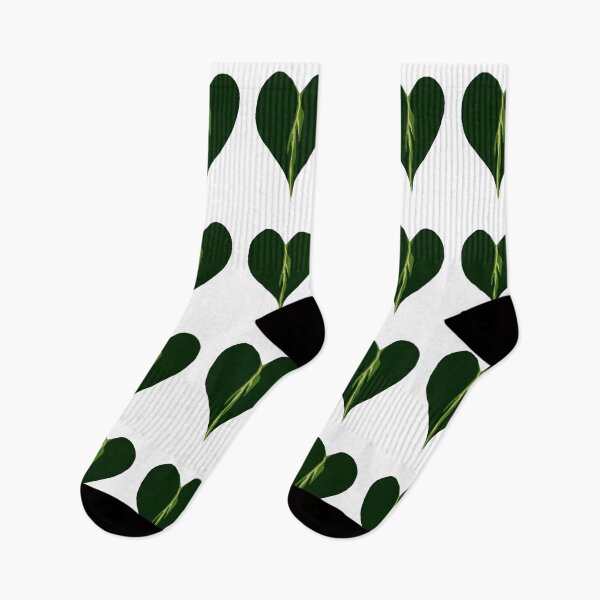 Item preview, Philodendron hederaceum var. oxycardium designed and sold by Alin Richard Iovănuț.