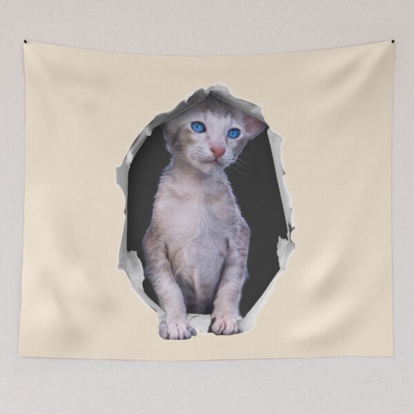 Item preview, Cat coming out of a Hiding Place designed and sold by TheKingdomAttic.