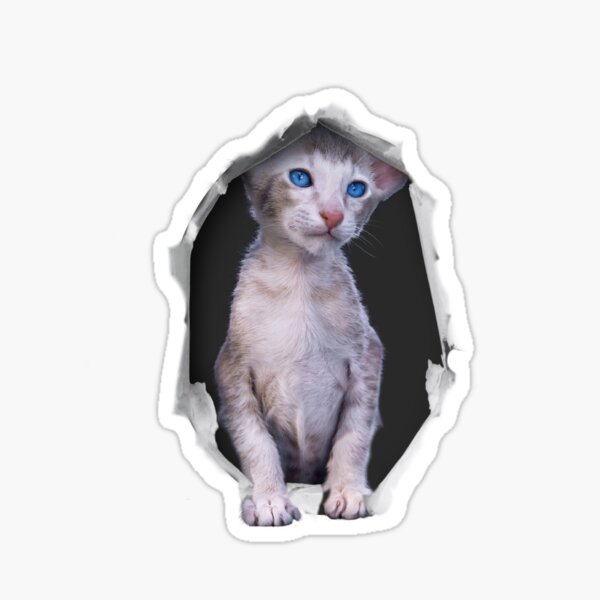 Item preview, Cat coming out of a Hiding Place designed and sold by TheKingdomAttic.