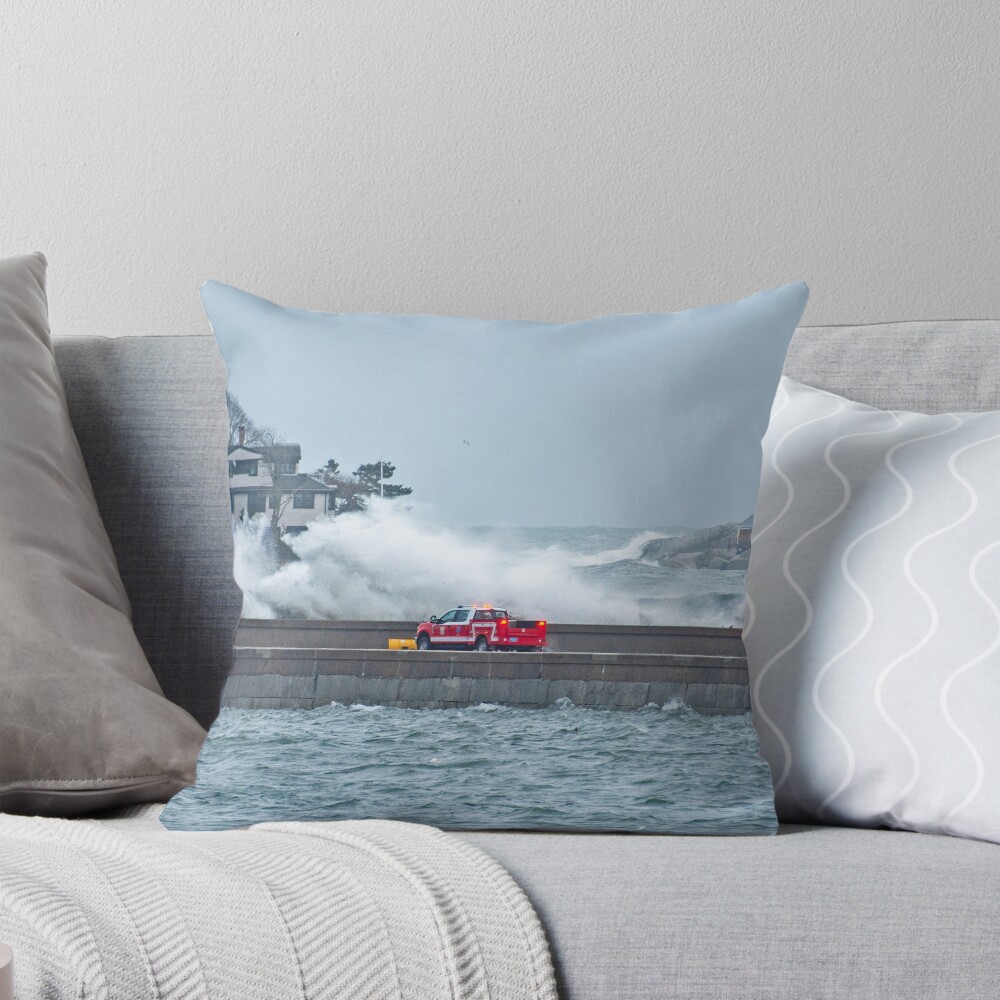 Item preview, Throw Pillow designed and sold by Ruthie33.