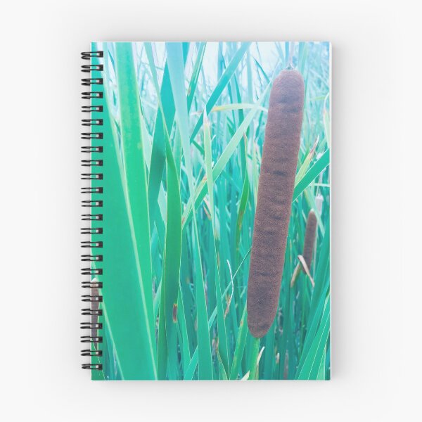 Item preview, Cattails or Bulrush designed and sold by Orchyd.