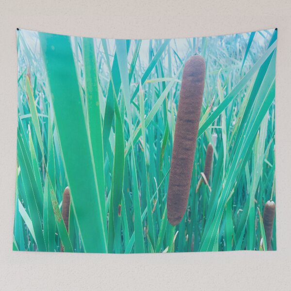 Item preview, Cattails or Bulrush designed and sold by Orchyd.