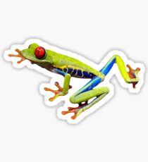 Tree Frog Sticker