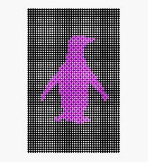 Spotty penguin Fotodruck