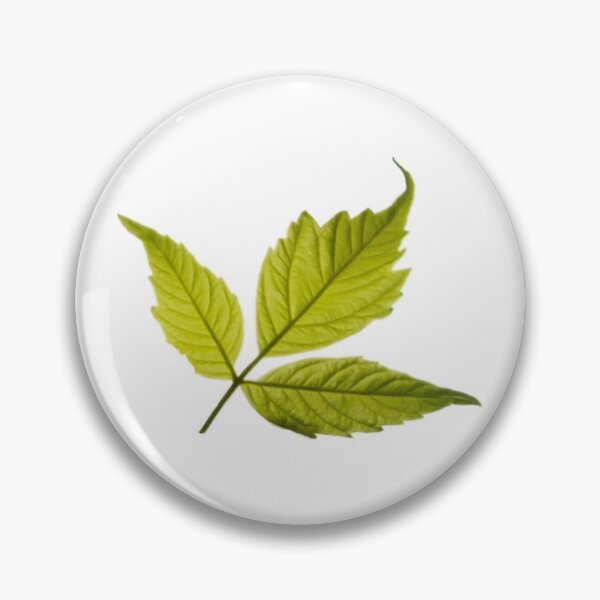 Item preview, Three Leaf designed and sold by sharasaur.