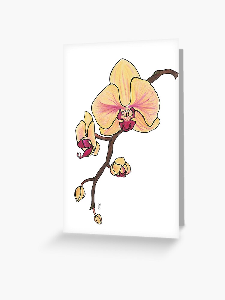 Tarjetas de felicitación «Dibujo a lápiz de color orquídea» de LReevesArt |  Redbubble