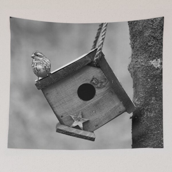 Item preview, Bird House designed and sold by StampCity.