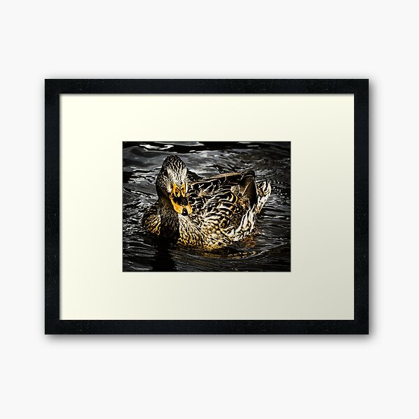 Item preview, Duck on water designed and sold by PurposeStudio.