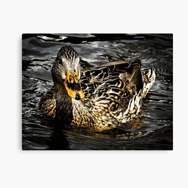 Item preview, Duck on water designed and sold by PurposeStudio.