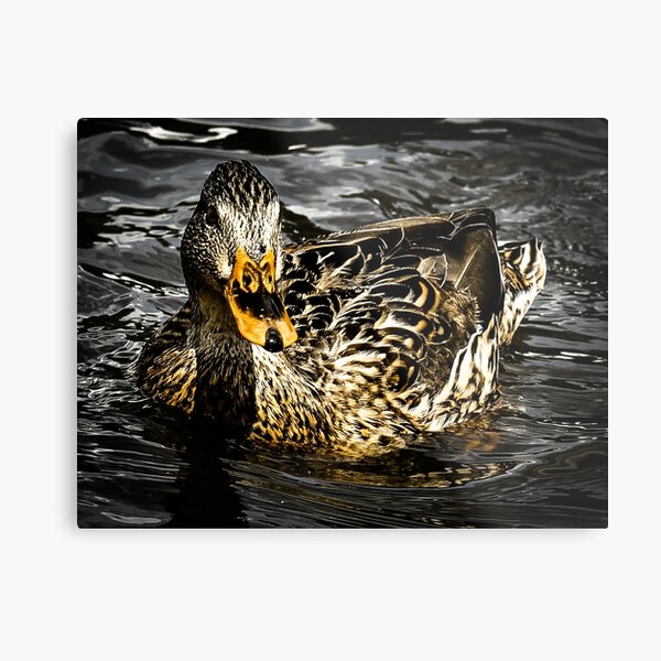 Item preview, Duck on water designed and sold by PurposeStudio.