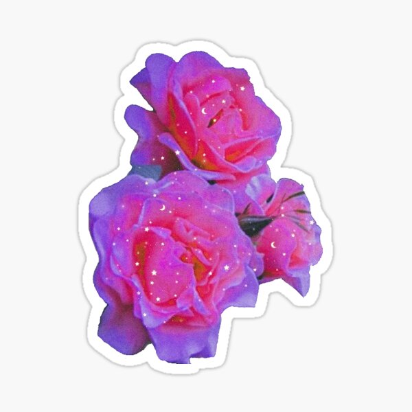 Aesthetic Pink Rose Sticker Sticker