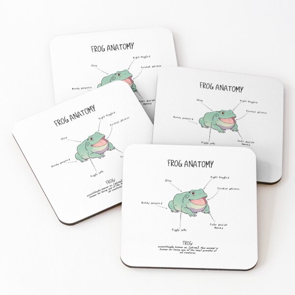 Item preview, Frog Anatomy designed and sold by AnimalArtist.