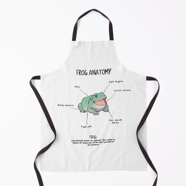 Item preview, Frog Anatomy designed and sold by AnimalArtist.