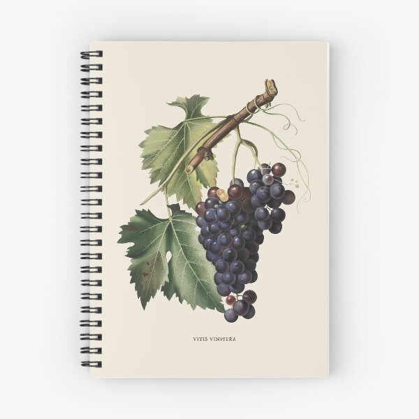 Item preview, Black Grape Antique Botanical Illustration designed and sold by Antiquated Art.