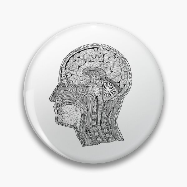 Item preview, Cross section head brain anatomically designed and sold by Piraaart.