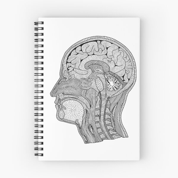 Item preview, Cross section head brain anatomically designed and sold by Piraaart.