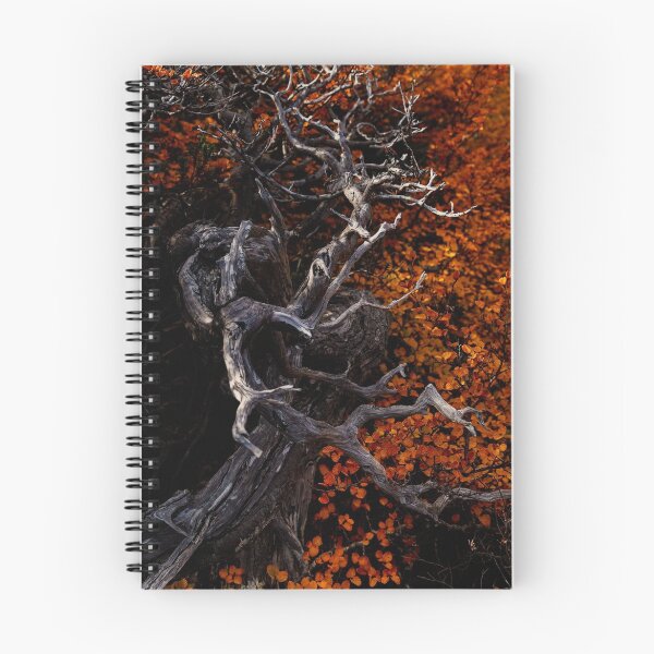 Item preview, Gnarled Fagus designed and sold by Claire Walsh.