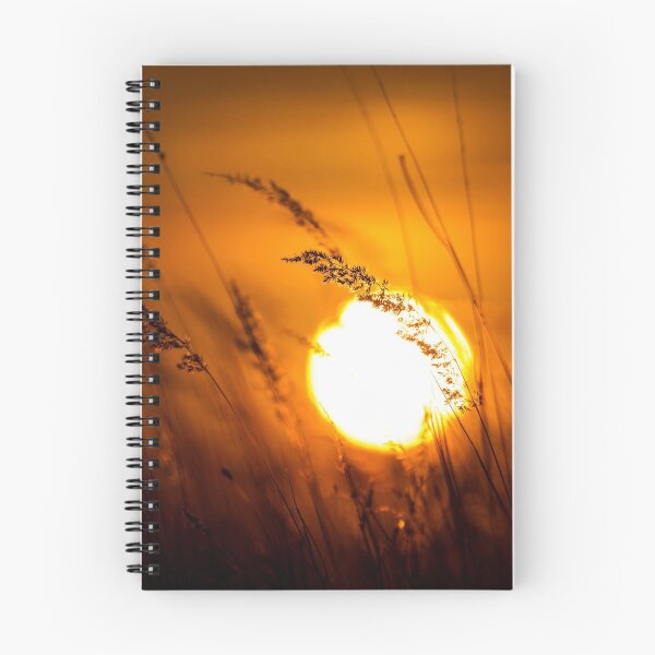 Item preview, Grass Landscape in the Wonderful Sunset Light designed and sold by digoarpi.
