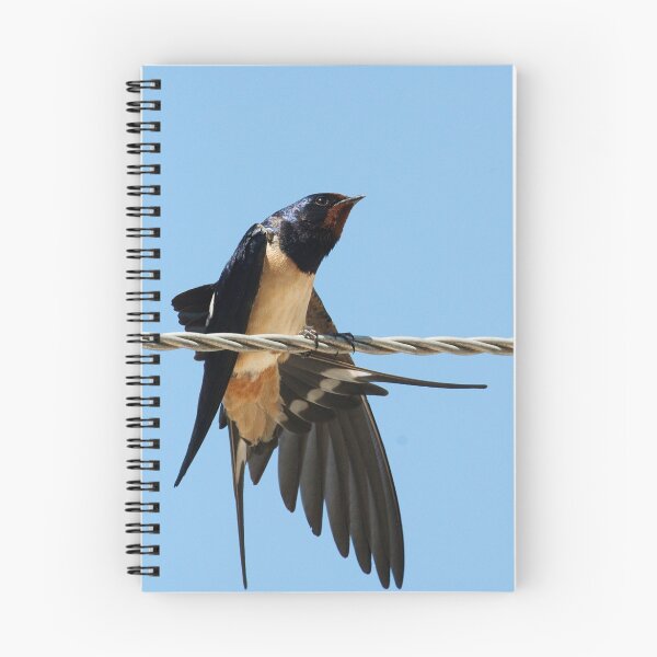 Item preview, Swallow designed and sold by Neil Bygrave (NATURELENS).