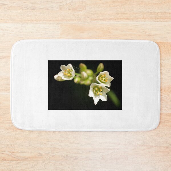 Item preview, Cobwebs designed and sold by D-GaP.