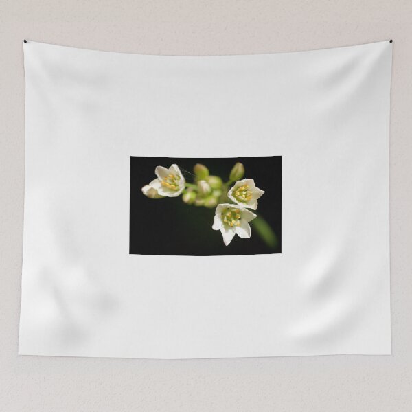 Item preview, Cobwebs designed and sold by D-GaP.