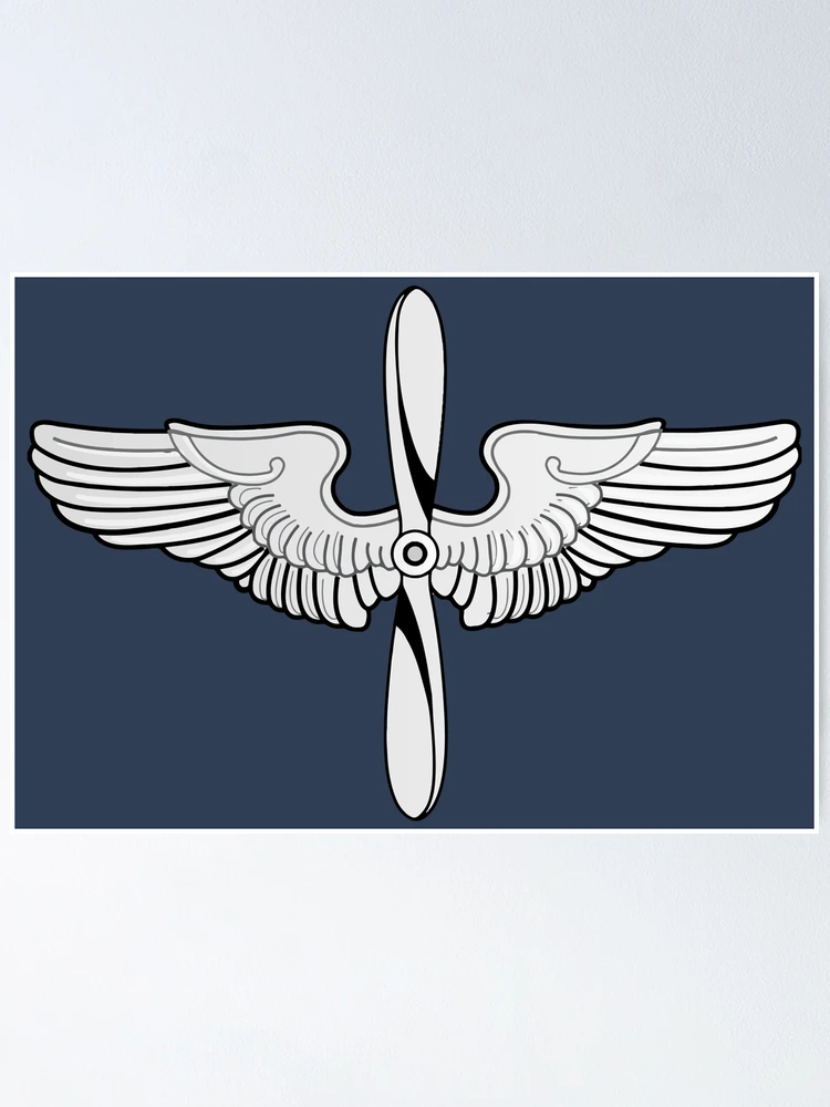 The Prop and Wings (United States Army Air Service Insignia/Badge