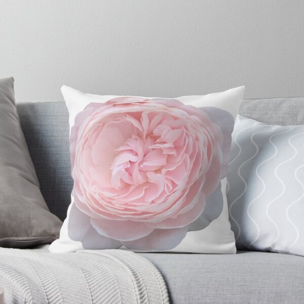 Item preview, Pink Rose Flower Still Life Floral Photography designed and sold by CottoVerdi.