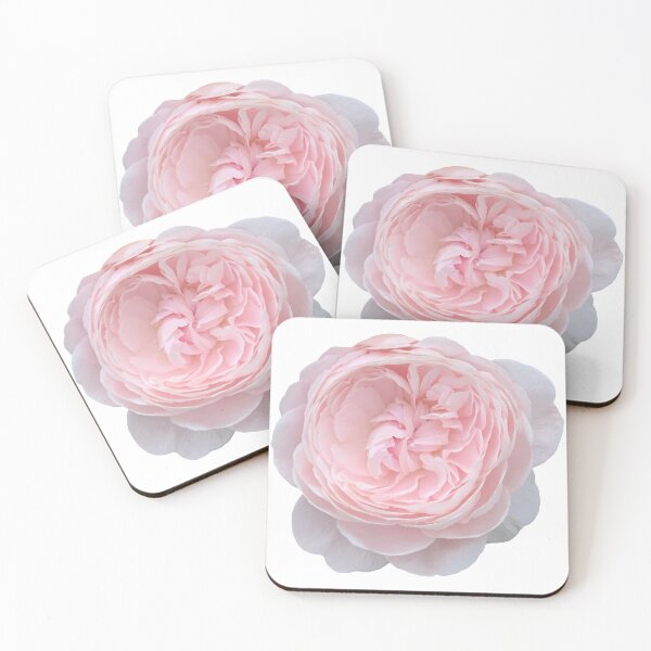 Item preview, Pink Rose Flower Still Life Floral Photography designed and sold by CottoVerdi.