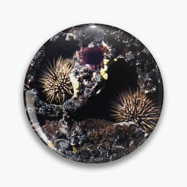 Item preview, Sea Urchins designed and sold by Alex Preiss.