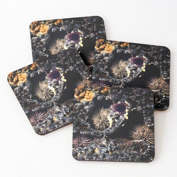 Item preview, Sea Urchins designed and sold by Alex Preiss.