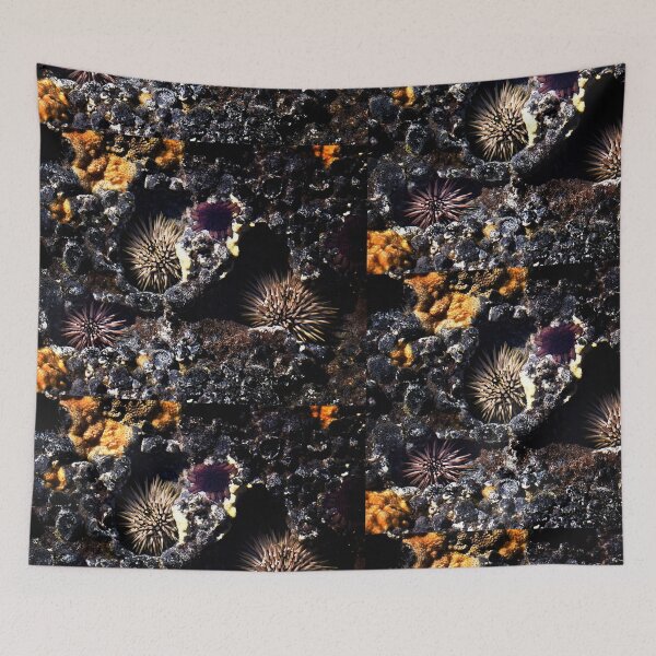 Item preview, Sea Urchins designed and sold by Alex Preiss.