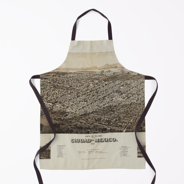 Item preview, Mexico City, Mexico (1890) designed and sold by allhistory.