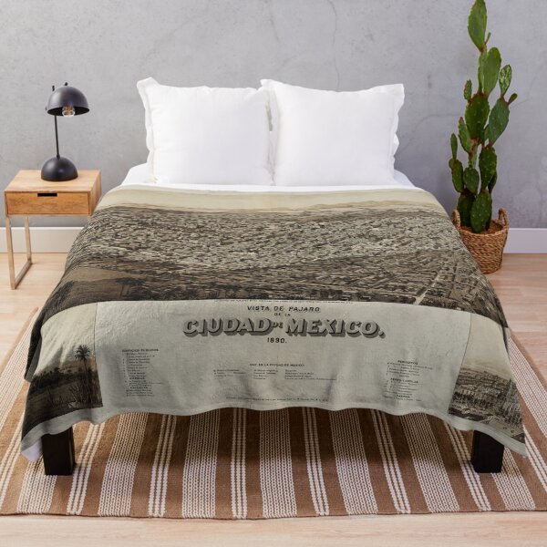 Item preview, Ciudad de México, México (1890) designed and sold by allhistory.