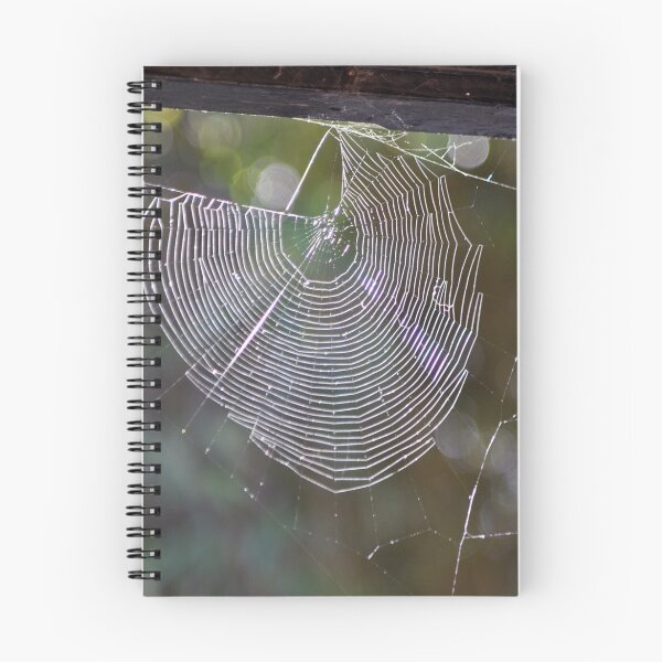 Item preview, Spider's Web with Autumn Sun designed and sold by Chris Monks.